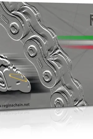 Favoriet REGINA - 415 90 GP4 122L GOLD - Chains - ROAD RACING